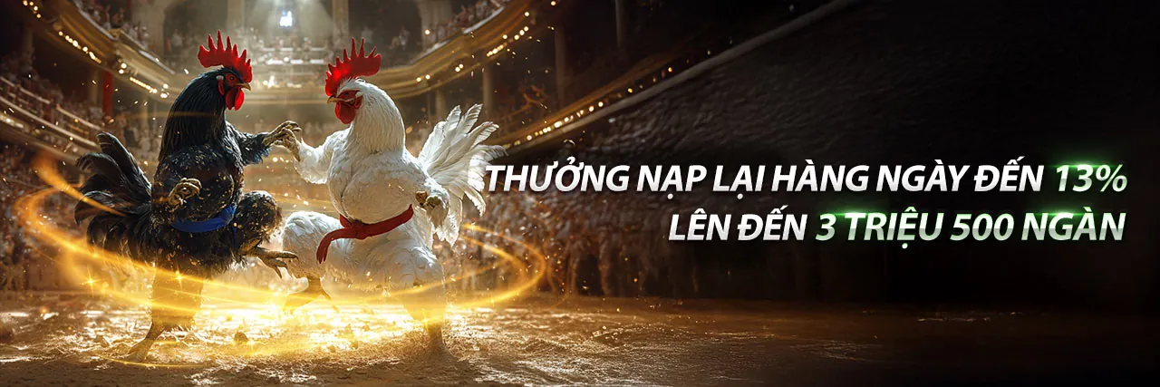 Banner Khuyến Mãi Ricwin 2026